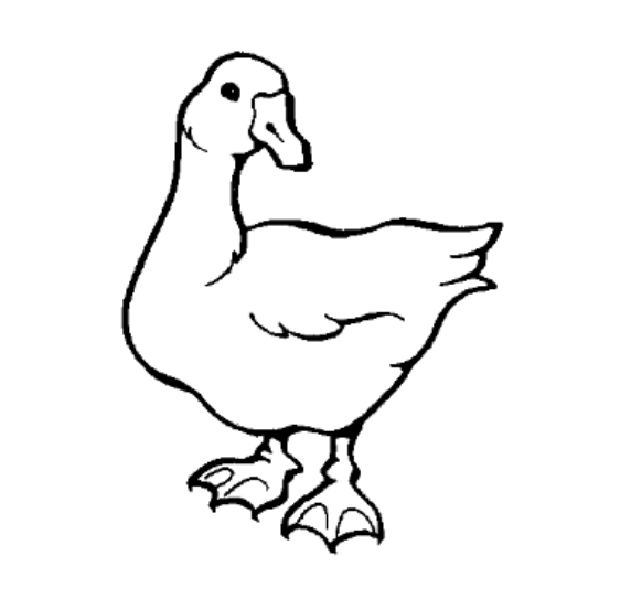 Mårtensträffen gås